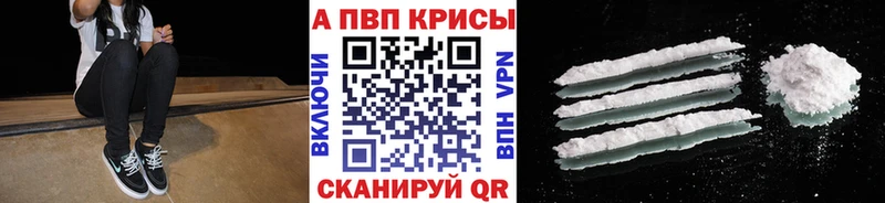 Купить закладки  Шенкурск  Alpha-PVP крисы CK