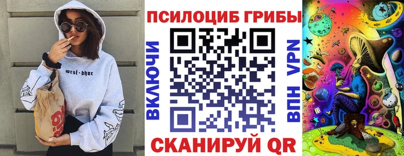 Купить где  Шенкурск  Галлюциногенные грибы ЛСД 
