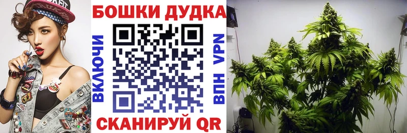 Купить где  Шенкурск  МАРИХУАНА конопля 